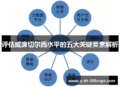 评估威廉切尔西水平的五大关键要素解析