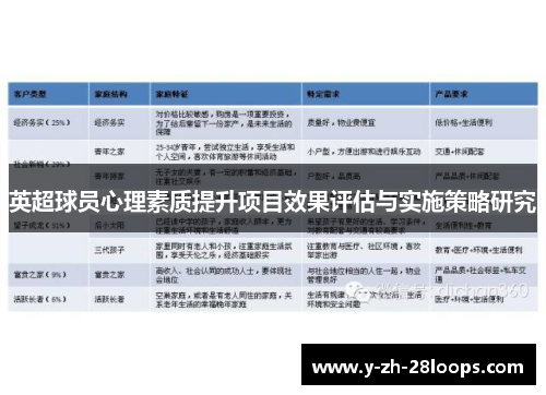 英超球员心理素质提升项目效果评估与实施策略研究