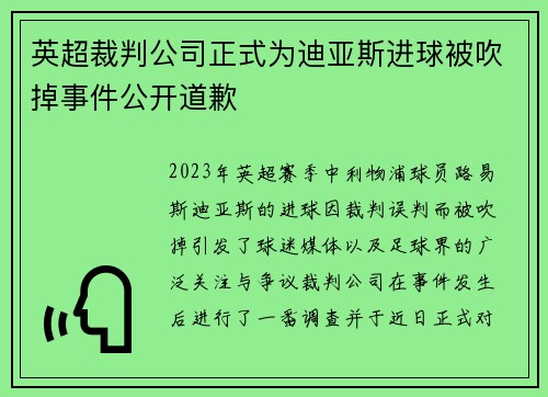 英超裁判公司正式为迪亚斯进球被吹掉事件公开道歉