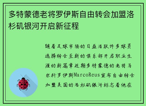 多特蒙德老将罗伊斯自由转会加盟洛杉矶银河开启新征程 多特蒙德老将罗伊斯自由转会加盟洛杉矶银河开启新征程